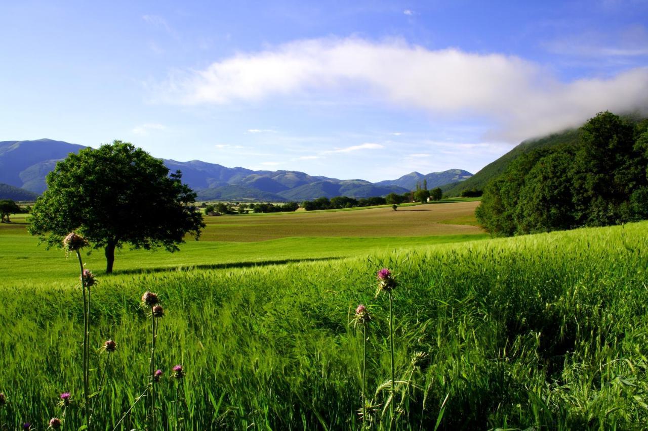 Agriturismo La Cascina Di Opaco Норча Экстерьер фото