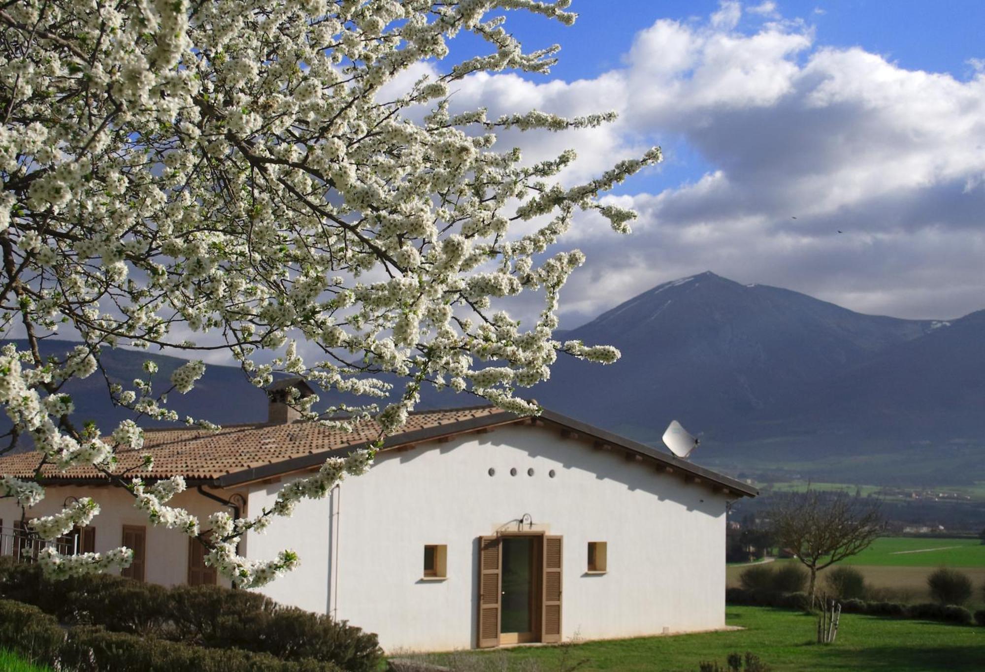 Agriturismo La Cascina Di Opaco Норча Экстерьер фото